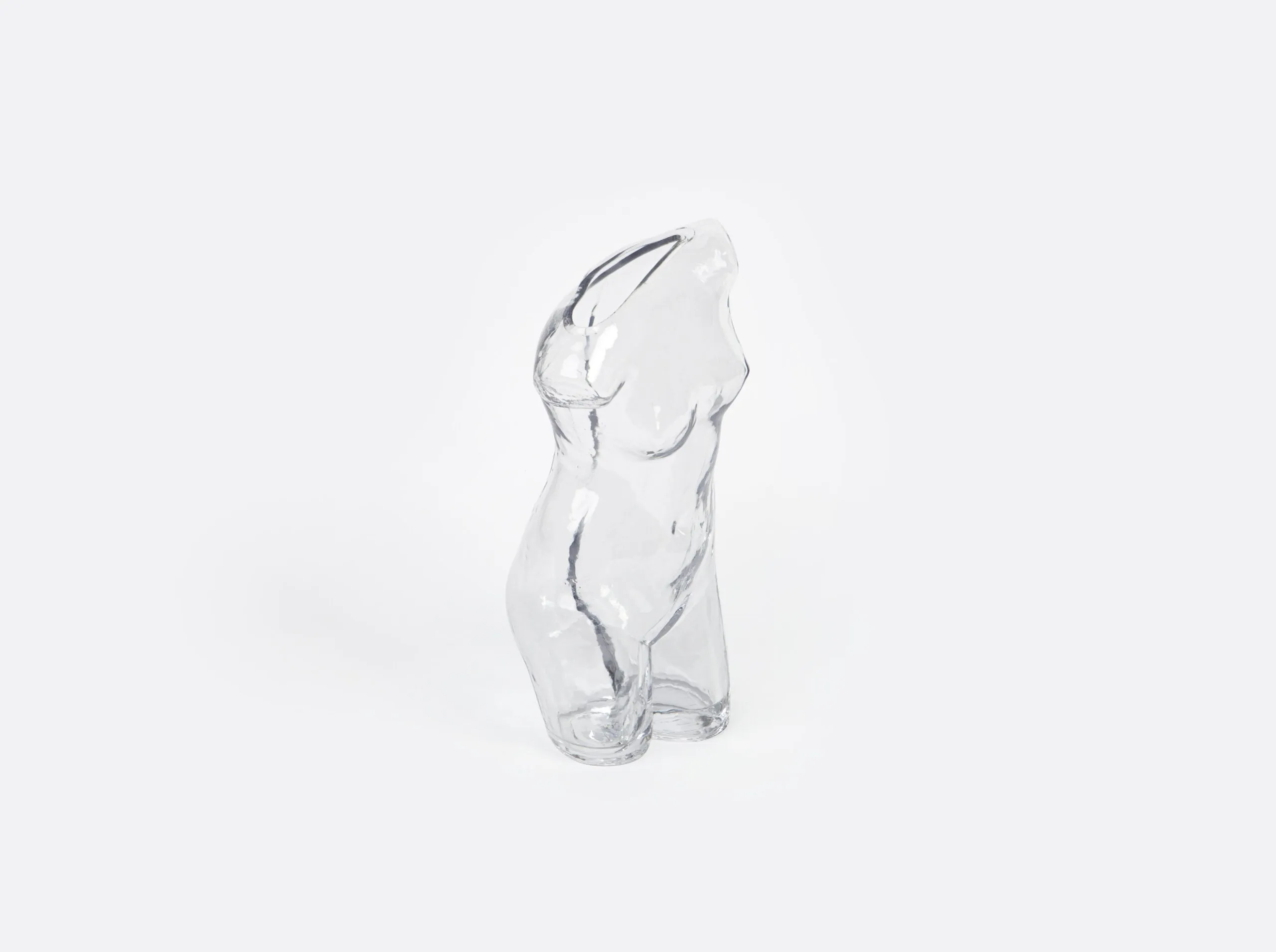 Body Vase Transparent