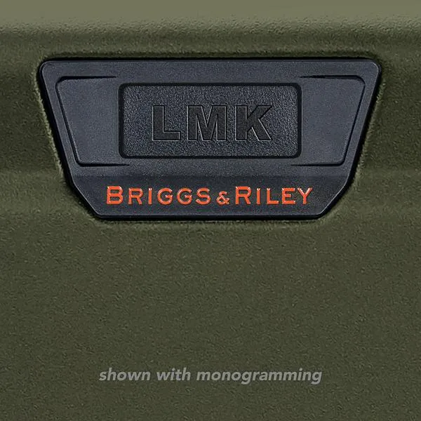 Briggs & Riley Torq Medium Trunk Spinner