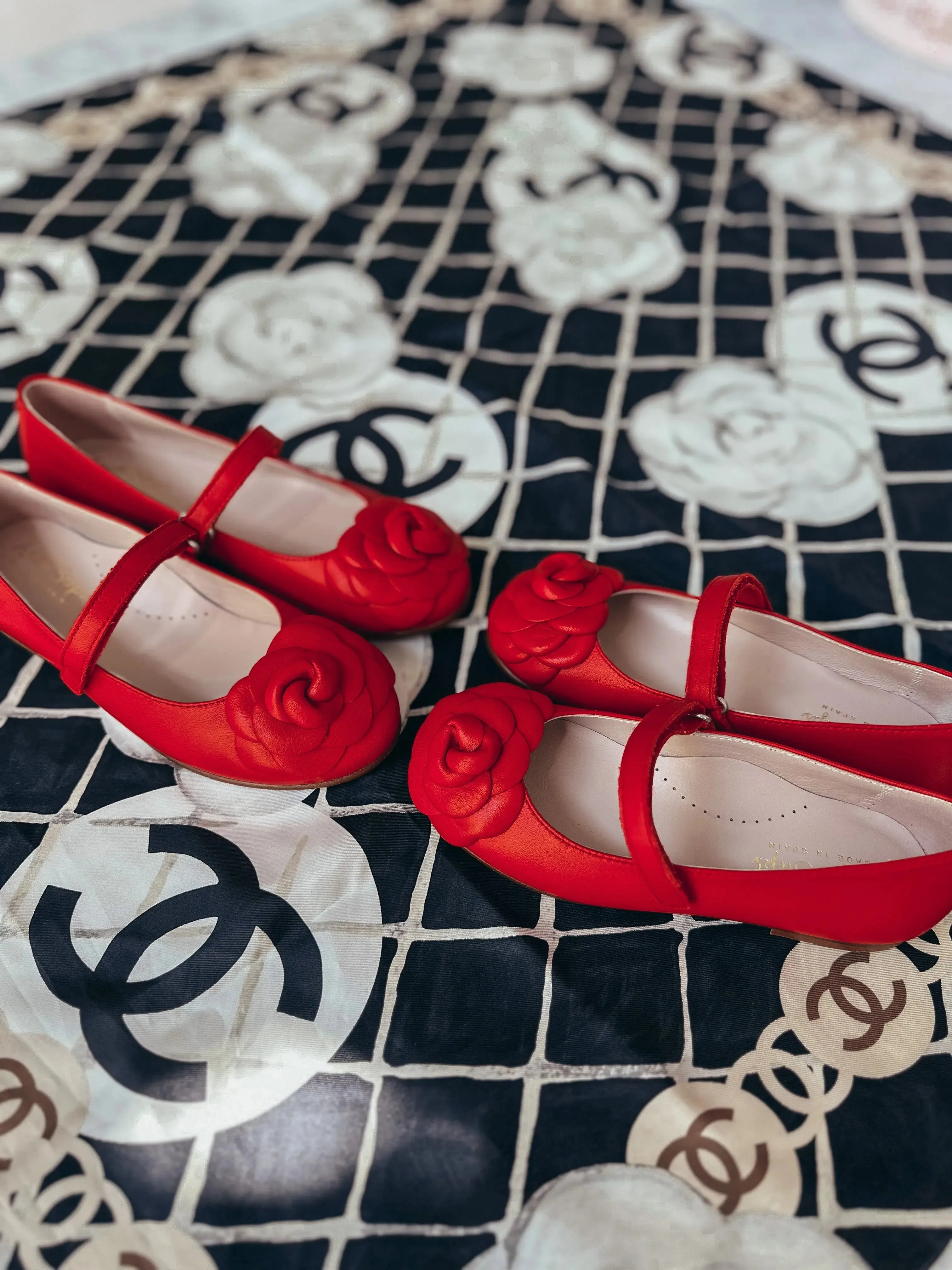 Camille- Red Leather Mary Jane Shoes