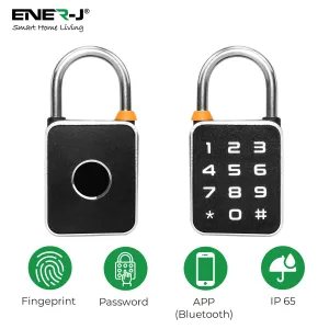 Smart Fingerprint & Numerical keypad Padlock with APP control